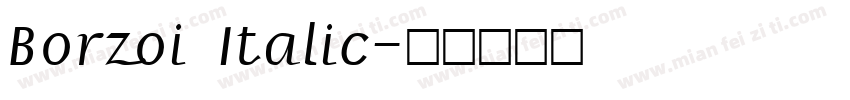 Borzoi Italic字体转换